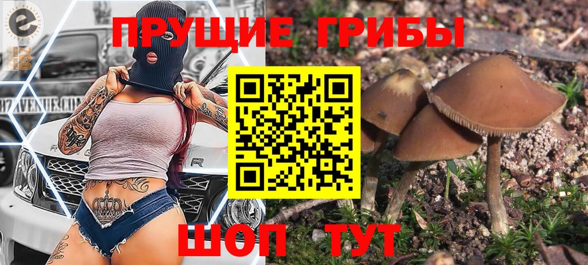 Псилоцибиновые грибы Psilocybine cubensis  Псилоцибиновые грибы MAGIC MUSHROOMS  Троицк  Вход с VPN 